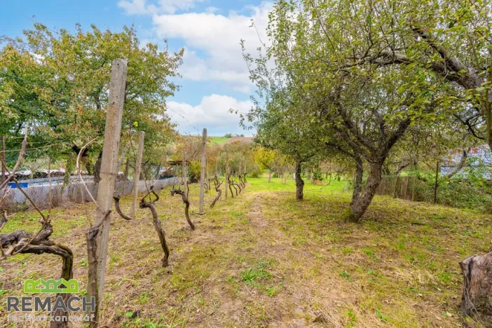 Pronájem rodinného domu, Traplice, 220 m2