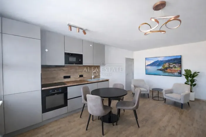 Prodej bytu 3+kk, Karlovy Vary - Drahovice, Východní, 61 m2