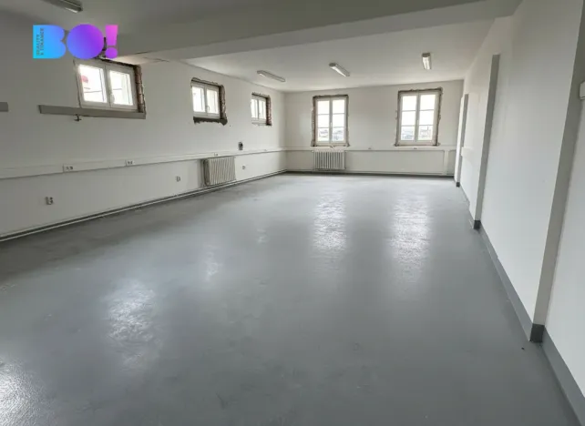 Pronájem kanceláře, Praha, Františka Křížka, 58 m2