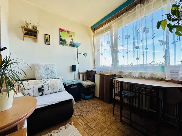 Prodej bytu 2+kk, Třebíč, Řípovská, 35 m2