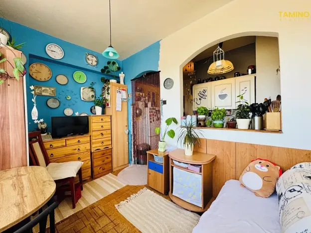 Prodej bytu 2+kk, Třebíč, Řípovská, 35 m2