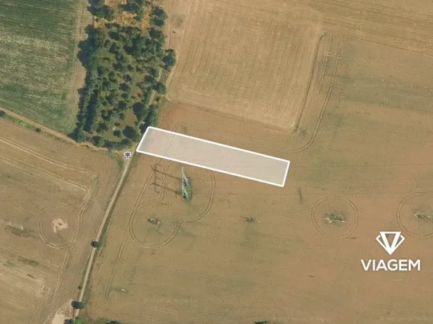 Prodej pole, Choltice, 2392 m2