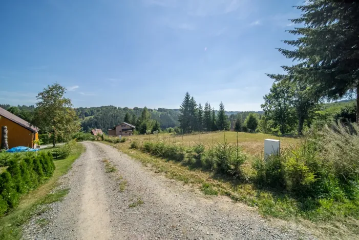 Prodej pozemku pro bydlení, Zábřeh - Dolní Bušínov, 829 m2