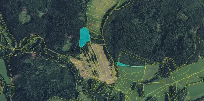 Prodej lesa, Drozdov, 11901 m2