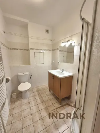 Pronájem bytu 1+kk, Nový Jičín, B. Martinů, 36 m2