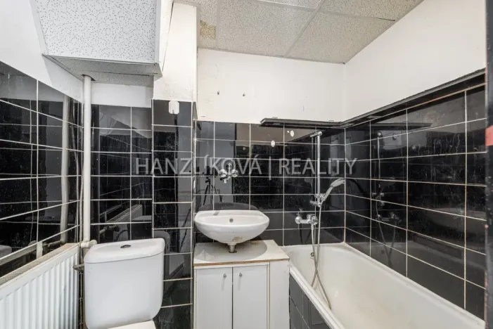 Prodej rodinného domu, Dobrá Voda u Českých Budějovic, Hornická, 331 m2