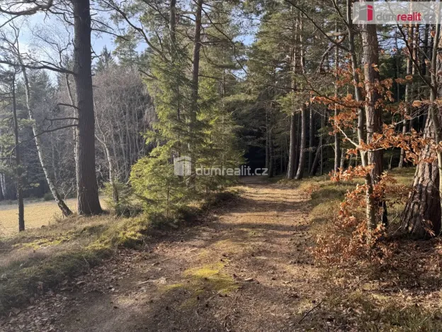 Prodej lesa, Nebahovy - Jelemek, 11340 m2