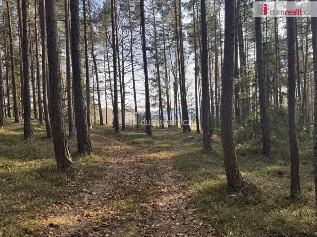 Prodej lesa, Nebahovy - Jelemek, 11340 m2