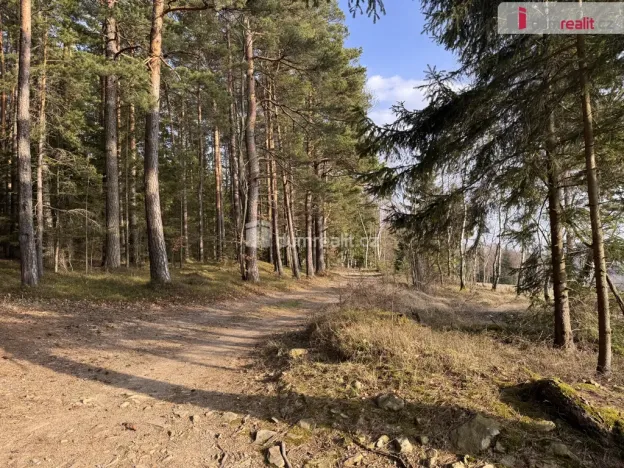 Prodej lesa, Nebahovy - Jelemek, 11340 m2