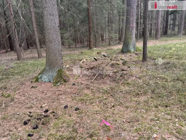 Prodej lesa, Nebahovy - Jelemek, 11340 m2
