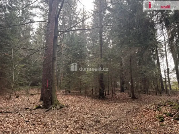 Prodej lesa, Nebahovy - Jelemek, 11340 m2