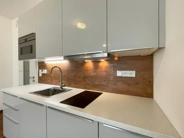 Pronájem bytu 1+kk, Olomouc - Nové Sady, Rokycanova, 35 m2