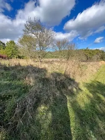 Prodej lesa, Březolupy, 910 m2