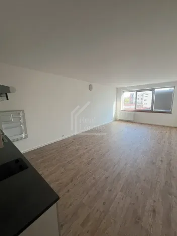Pronájem bytu 1+kk, Praha - Vršovice, Pod soutratím, 37 m2