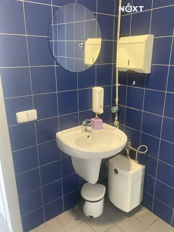 Pronájem obchodního prostoru, Tábor, Světlogorská, 163 m2