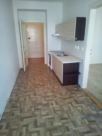 Pronájem bytu 1+1, Praha - Žižkov, Hájkova, 40 m2