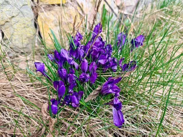 Prodej rodinného domu, Náchod, Neumannova, 110 m2