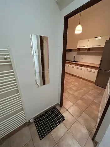 Pronájem bytu 1+1, Praha - Žižkov, Seifertova, 32 m2