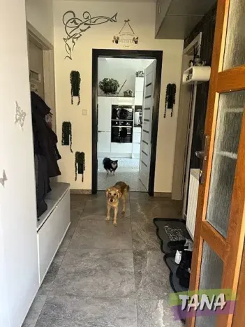 Prodej rodinného domu, Kostelec nad Labem, Labská, 110 m2