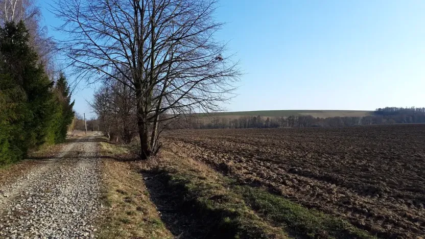 Prodej pozemku pro bydlení, Libina, 1180 m2