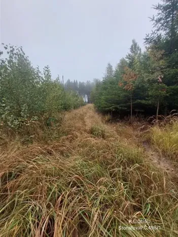 Prodej lesa, Otín, 928 m2