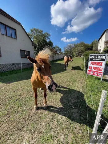 Prodej pozemku pro bydlení, Pašovice, 1279 m2