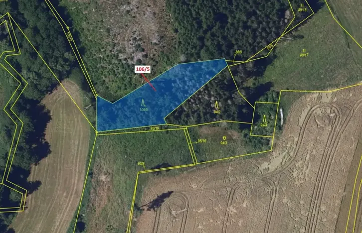 Dražba lesa, Žižkovo Pole, 1408 m2