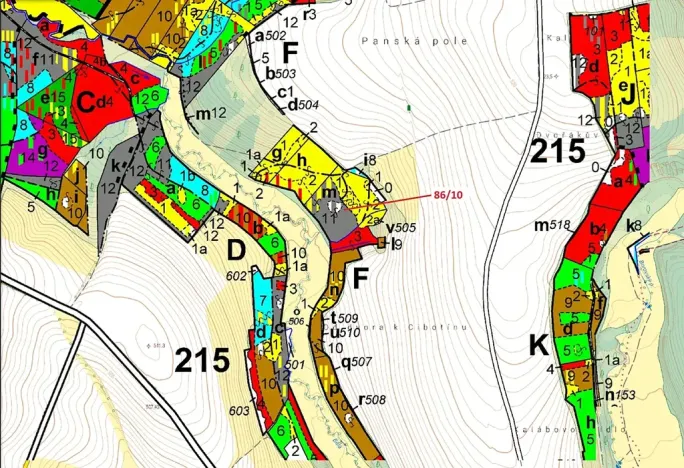 Dražba lesa, Žižkovo Pole, 12727 m2