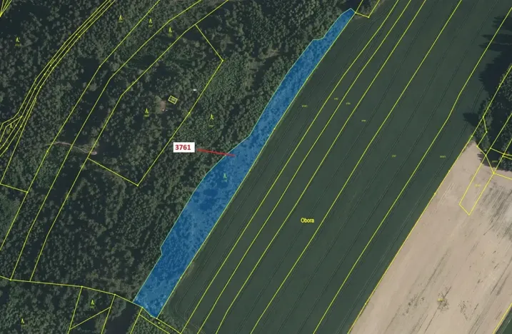 Dražba lesa, Strmilov, 9243 m2