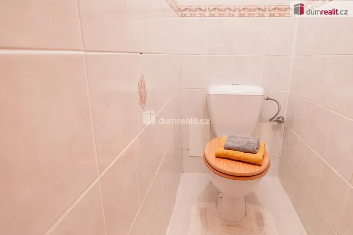 Prodej rodinného domu, Mladá Boleslav, Viničná, 350 m2