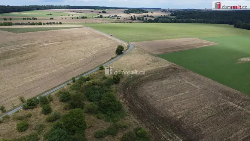 Prodej pozemku, Sýkořice, 3943 m2