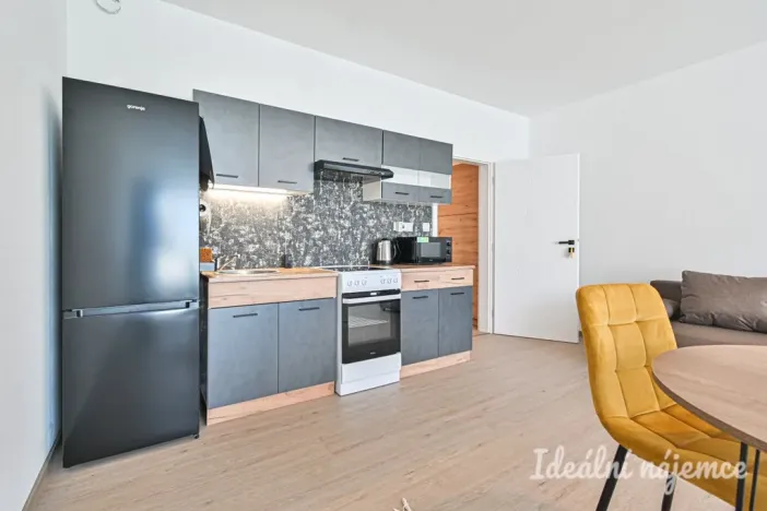 Pronájem bytu 1+kk, Brno, Faměrovo náměstí, 49 m2