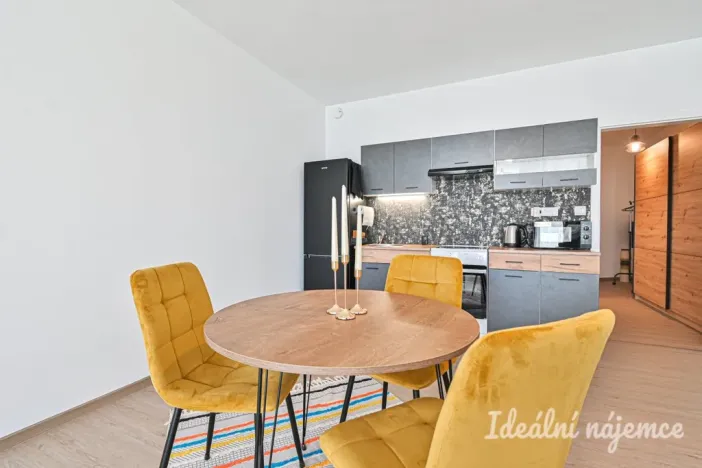 Pronájem bytu 1+kk, Brno, Faměrovo náměstí, 49 m2