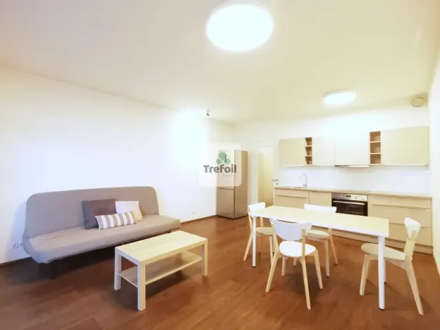 Pronájem bytu 1+kk, Praha - Košíře, Česká, 43 m2