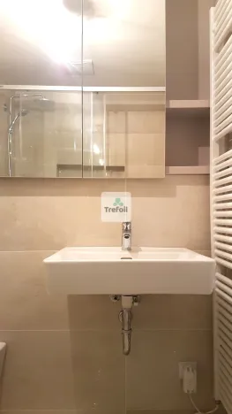 Pronájem bytu 1+kk, Praha - Košíře, Česká, 43 m2