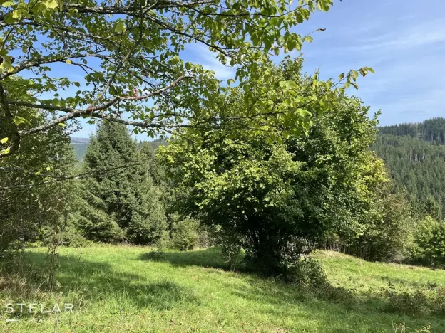 Prodej chaty, Staré Hamry, 120 m2
