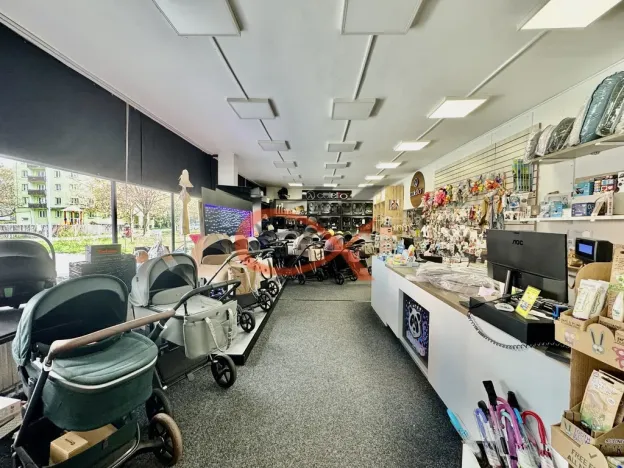 Pronájem obchodního prostoru, Valašské Meziříčí, Zašovská, 293 m2