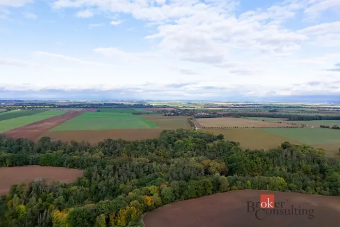 Prodej rodinného domu, Chorušice, 110 m2