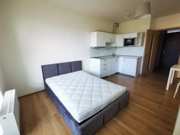 Pronájem bytu 1+kk, Praha - Malešice, Nad úžlabinou, 24 m2