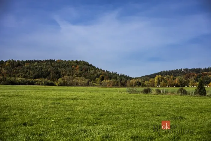 Prodej pozemku pro bydlení, Křižany, 1506 m2