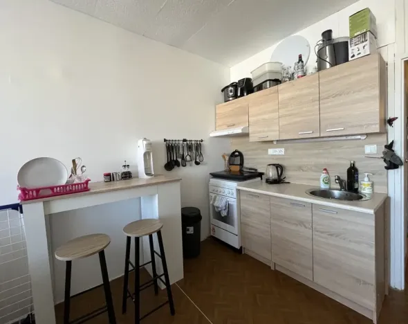 Pronájem bytu 1+kk, České Budějovice - České Budějovice 2, K. Chocholy, 29 m2