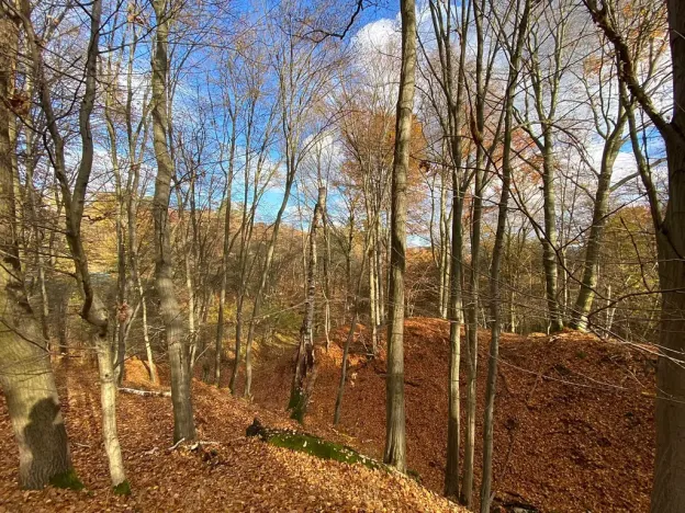 Prodej rodinného domu, Jílové u Prahy, 80 m2