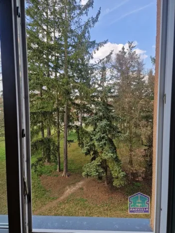 Prodej bytu 3+1, Stříbro, Brožíkova, 56 m2