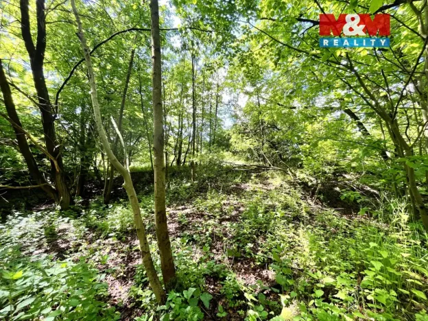 Prodej rybníku, Skalice u České Lípy, 3255 m2