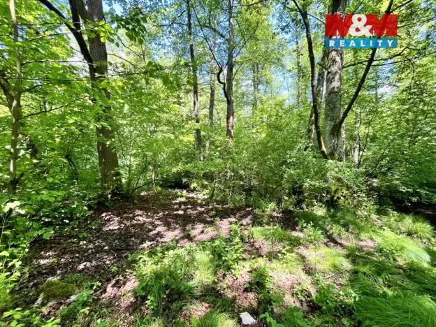 Prodej rybníku, Skalice u České Lípy, 3255 m2