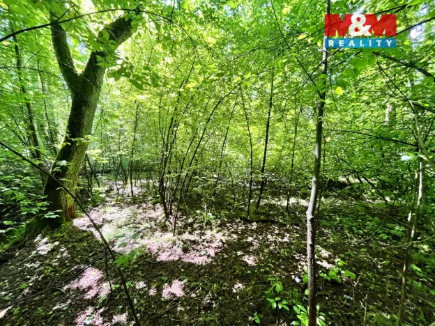 Prodej rybníku, Skalice u České Lípy, 3255 m2