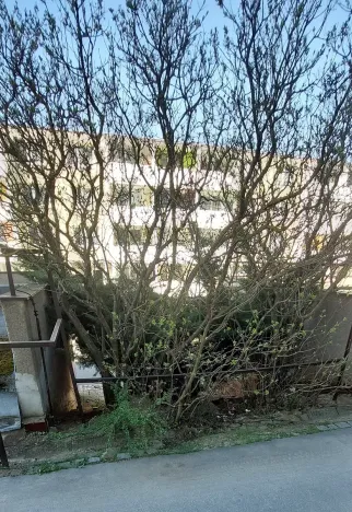 Dražba pozemku, Brno, 30 m2