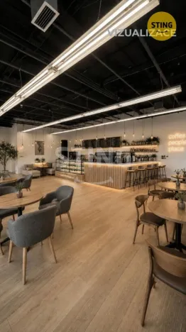 Pronájem obchodního prostoru, Třinec, nám. Svobody, 254 m2