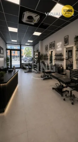 Pronájem obchodního prostoru, Třinec, nám. Svobody, 254 m2