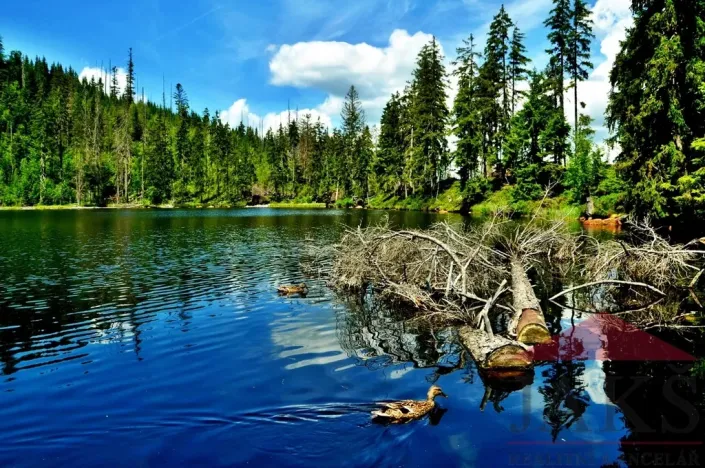 Prodej bytu 2+kk, Prášily, 29 m2